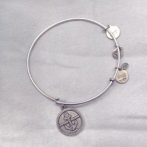 Alex and Ani Rhode Island Silver Bracelet Charm